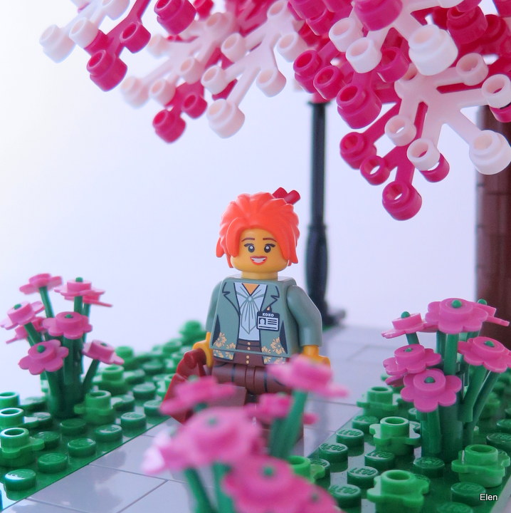 v002.jpg