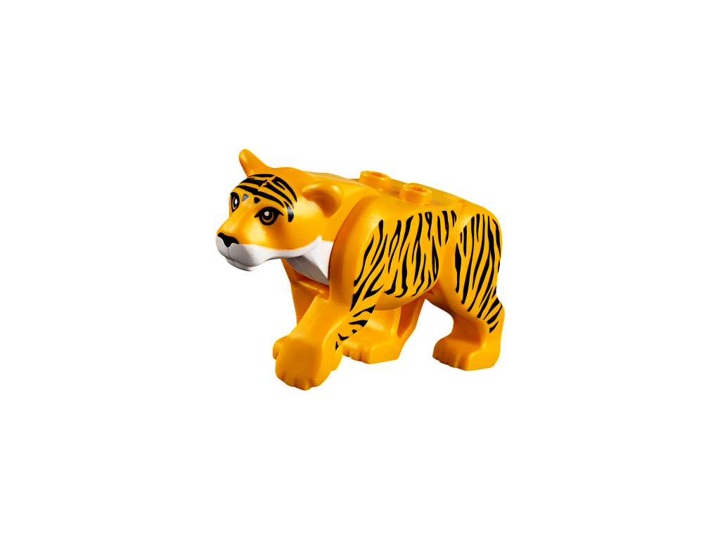 60162_cat.png