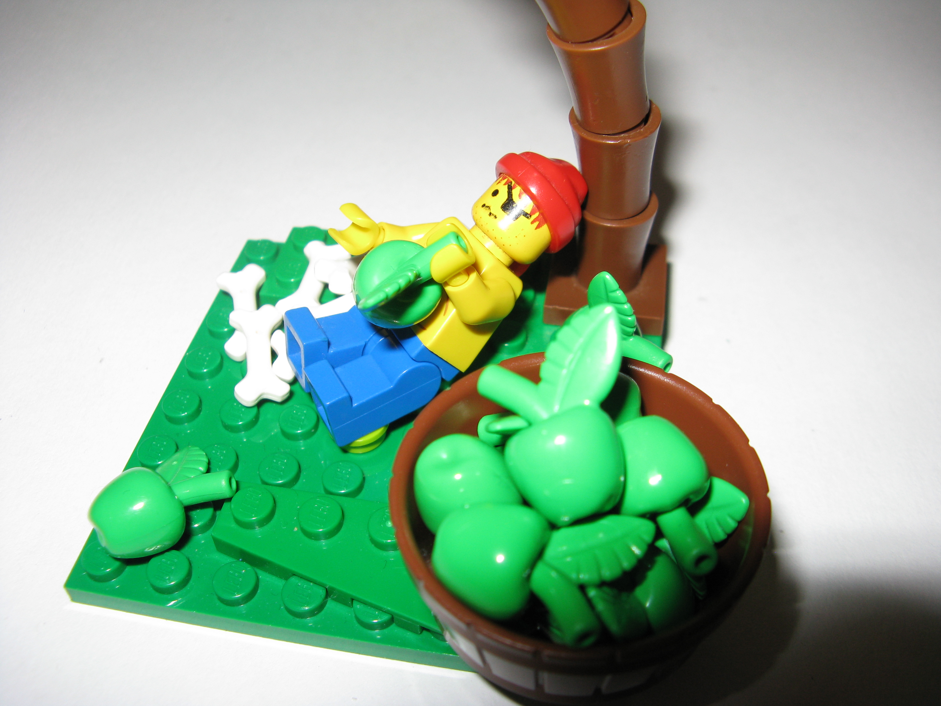 seed_part_june_2011_002.jpg
