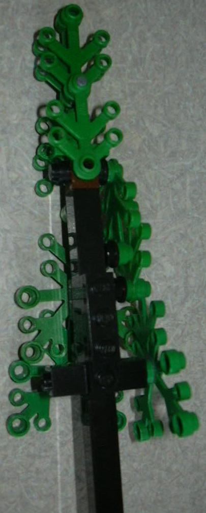 tree_04.jpg