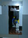 yellow_15.jpg