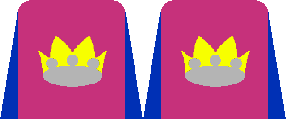 torso_crown.bmp