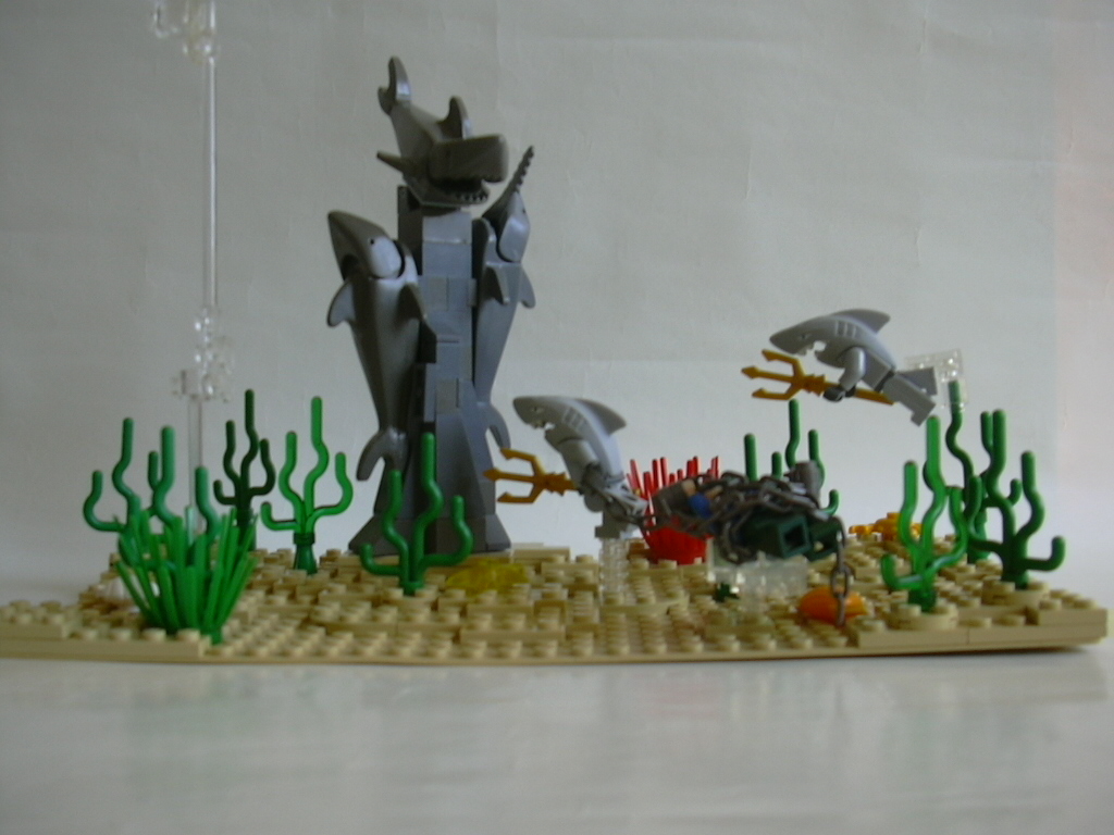 shark_4.jpg
