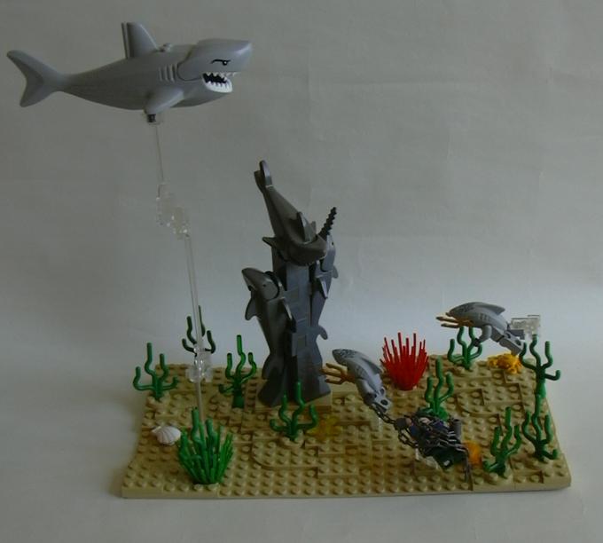 shark_1.jpg
