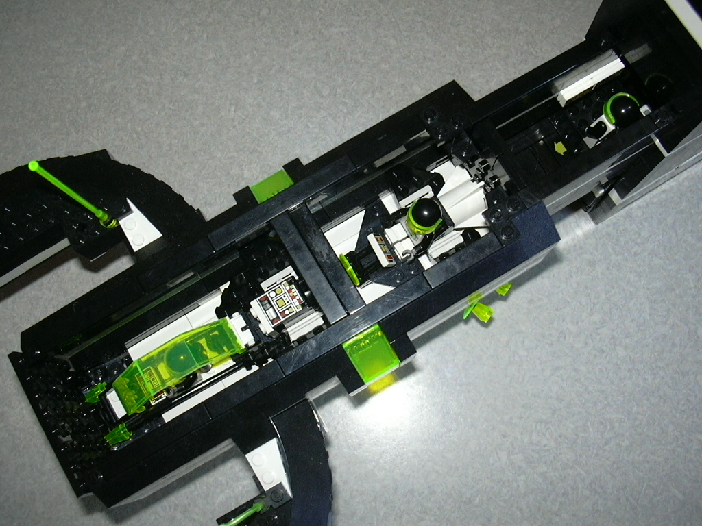 hammerhead_007.jpg