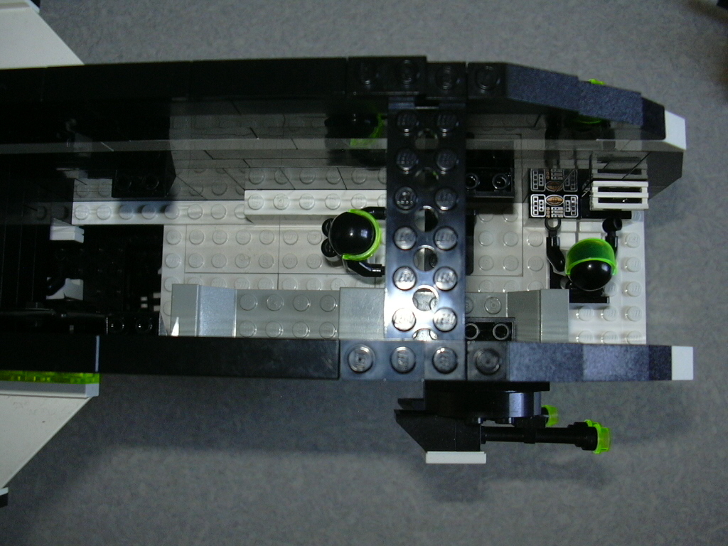 hammerhead_009.jpg