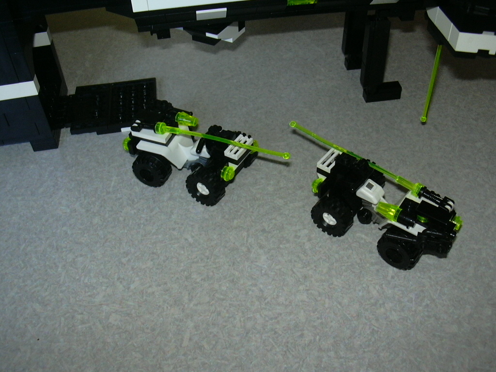 hammerhead_014.jpg