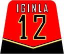 torso_iginla.bmp