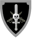 pirateshield.jpg