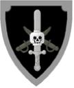 pirateshield.jpg