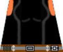 jeiseltorso.jpg