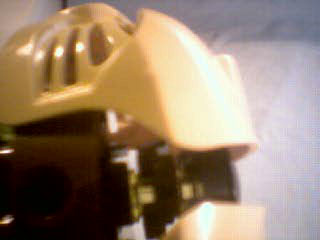 m-wing_06.jpg