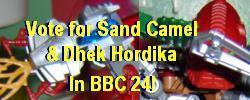 sandcamel_banner.jpg
