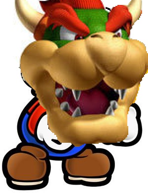 bowsermario.jpg