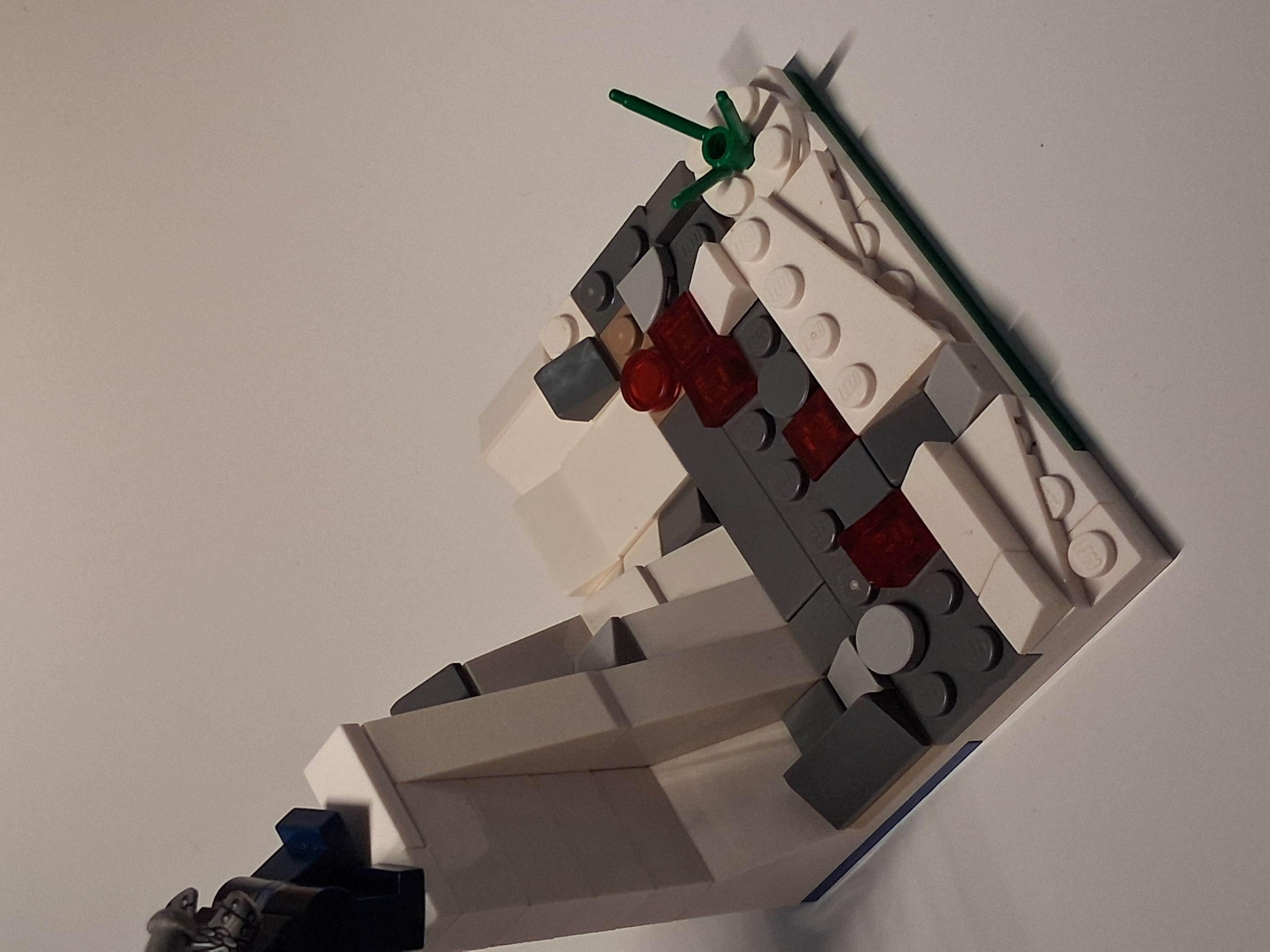 20260630_113153.jpg
