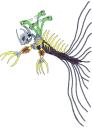 scarmiglione_echidna.png