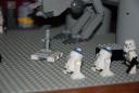 dsc0005.jpg