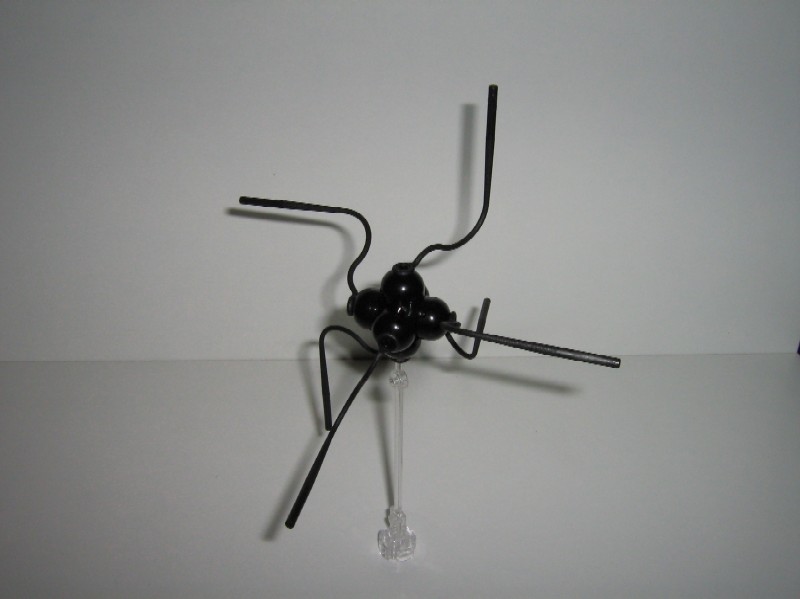 aquasecta-03.jpg