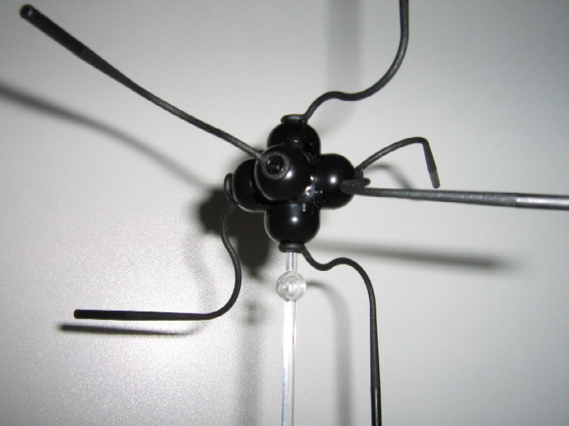 aquasecta-05.jpg