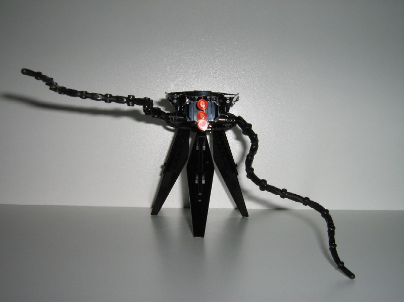 herder-02.jpg