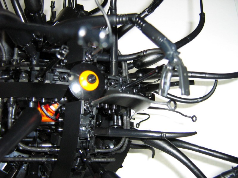 omni-ocula-008.jpg