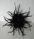 omni-ocula-002.jpg