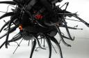 omni-ocula-004.jpg
