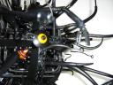 omni-ocula-008.jpg