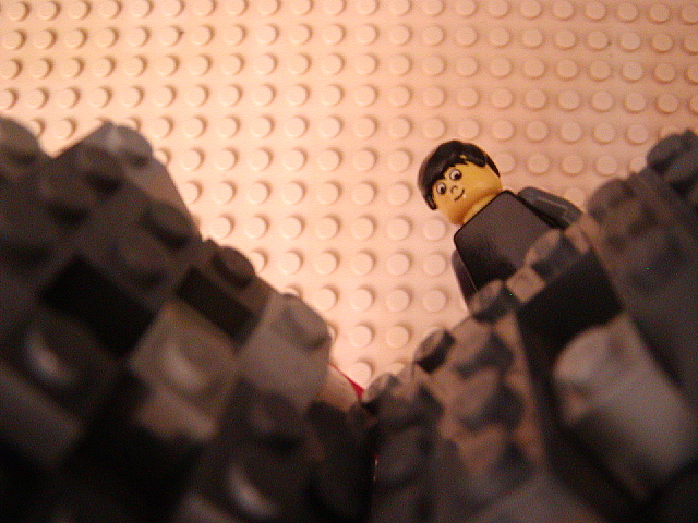 i_bough_goes_down_but_soon_he_gets_stuck.jpg