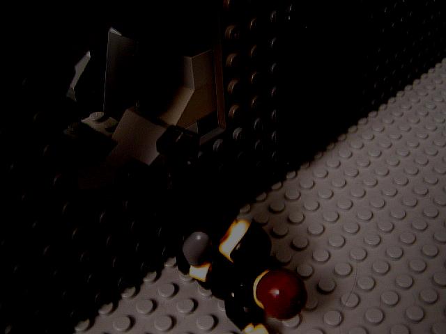 m_johnny_and_bough_fall.jpg