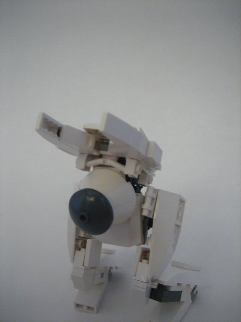 w2lk37b004.jpg