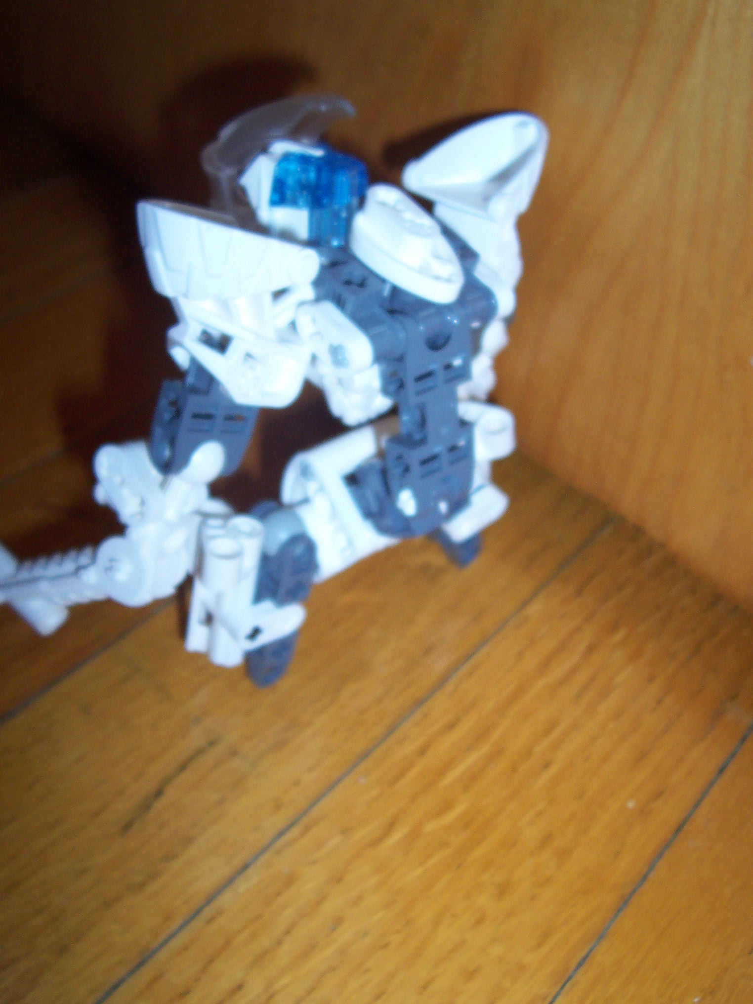gali003.jpg