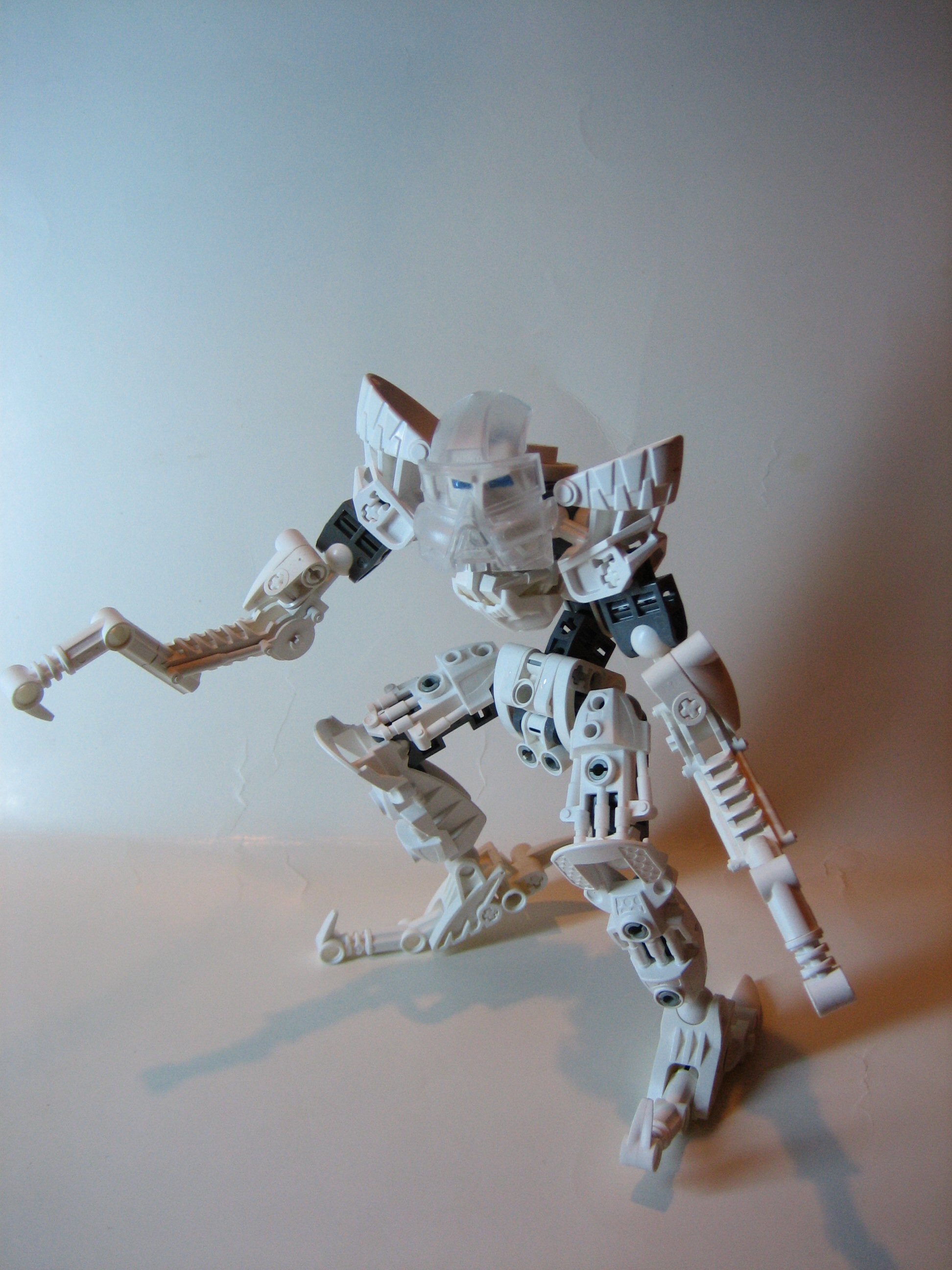 skelogail001.jpg