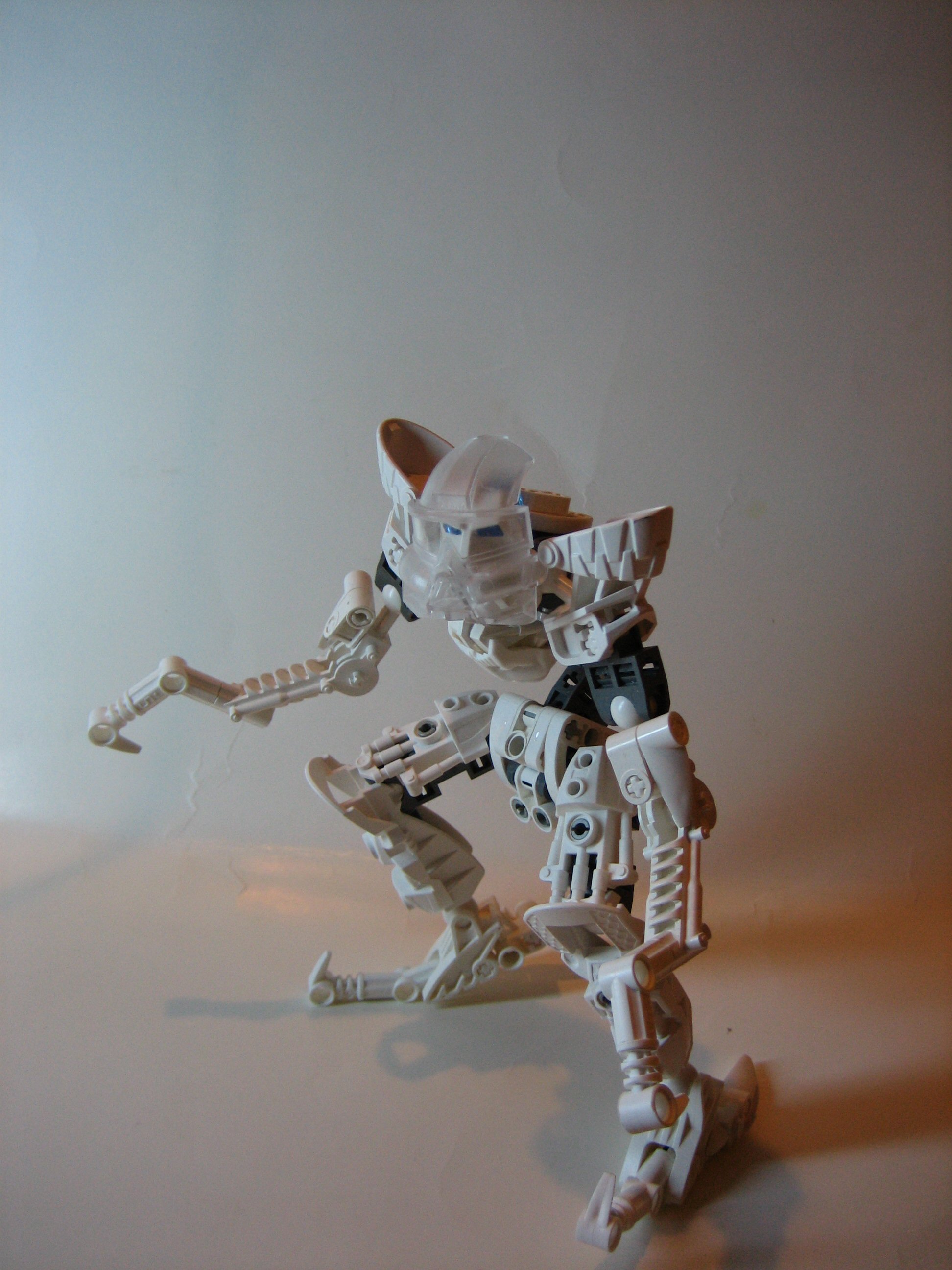 skelogali002.jpg