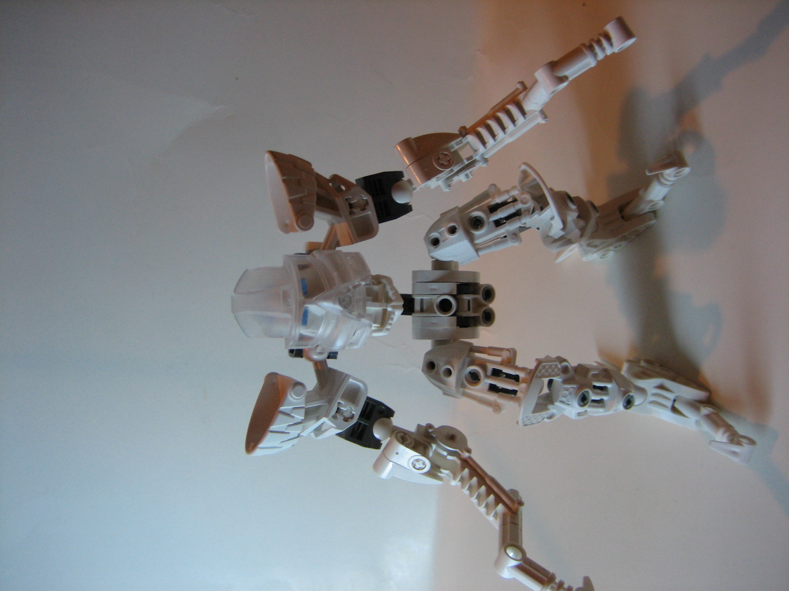 skelogali004.jpg