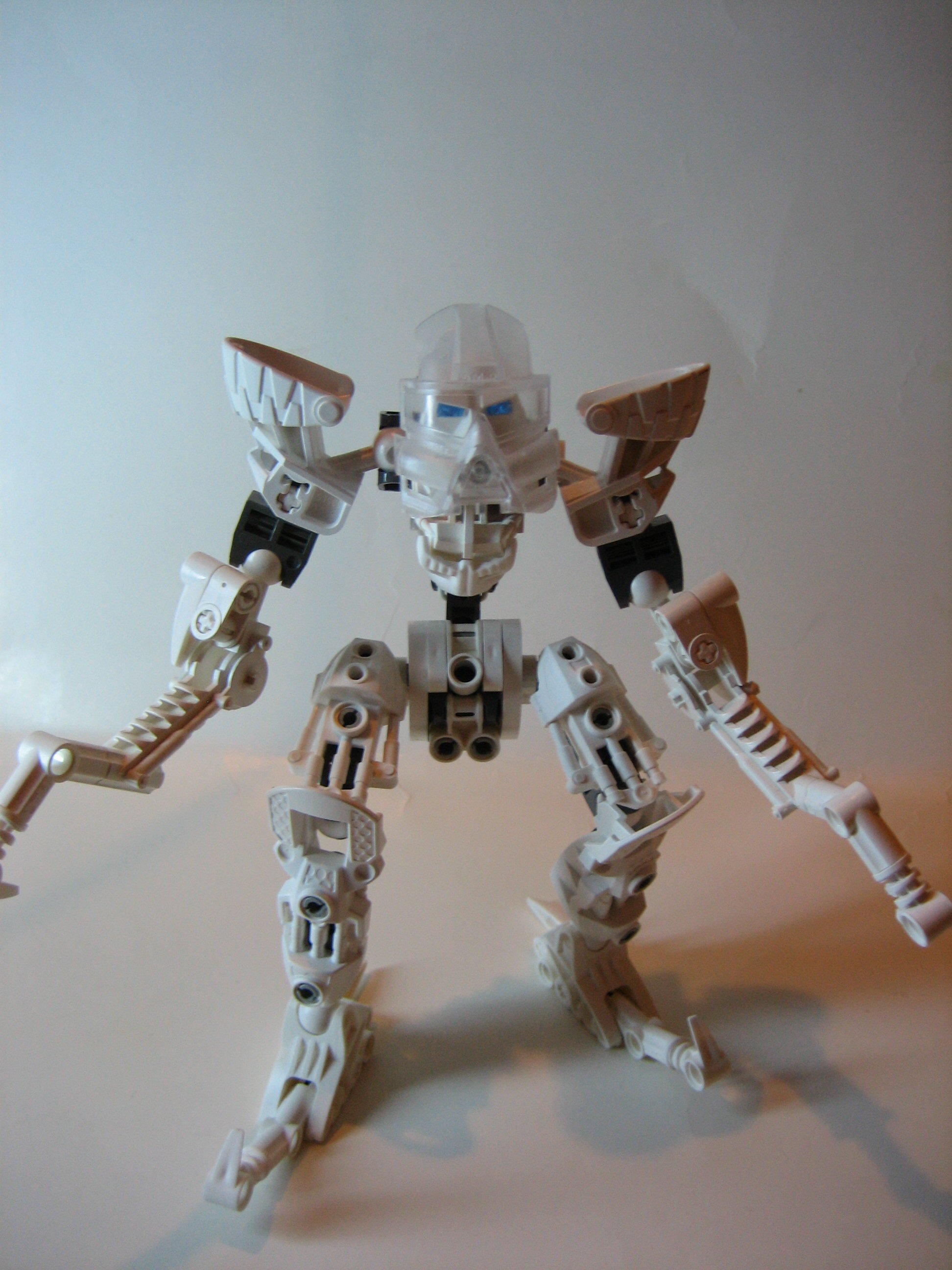 skelogali005.jpg