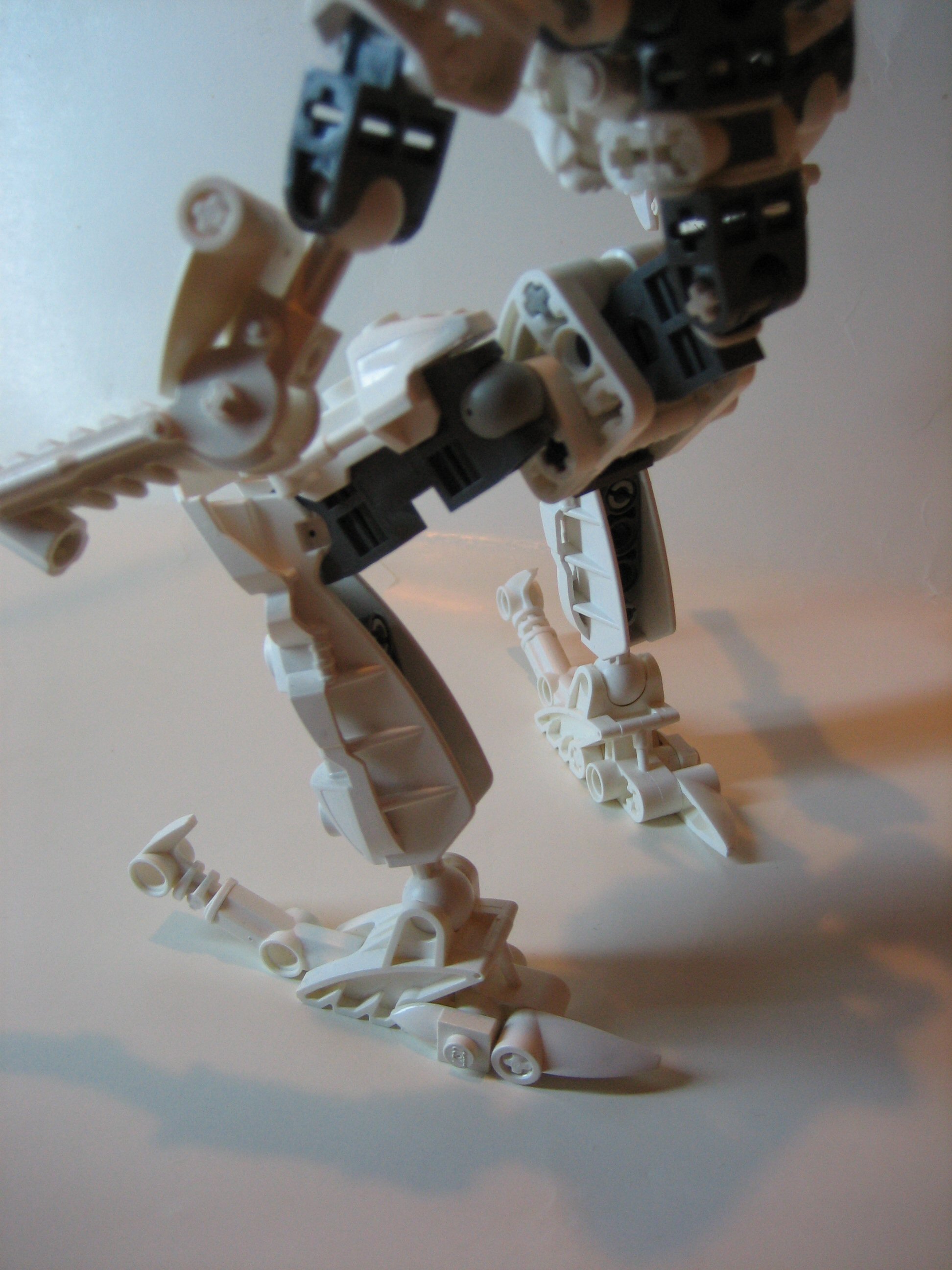 skelogali007.jpg