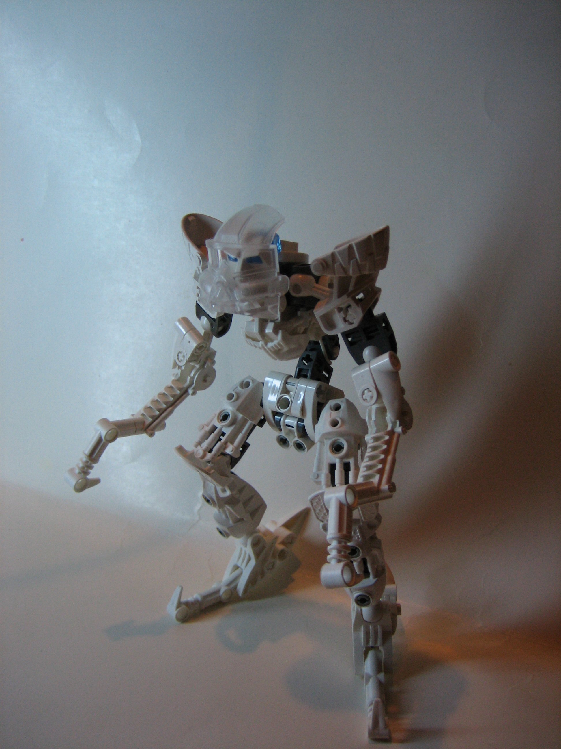 skelogali008.jpg