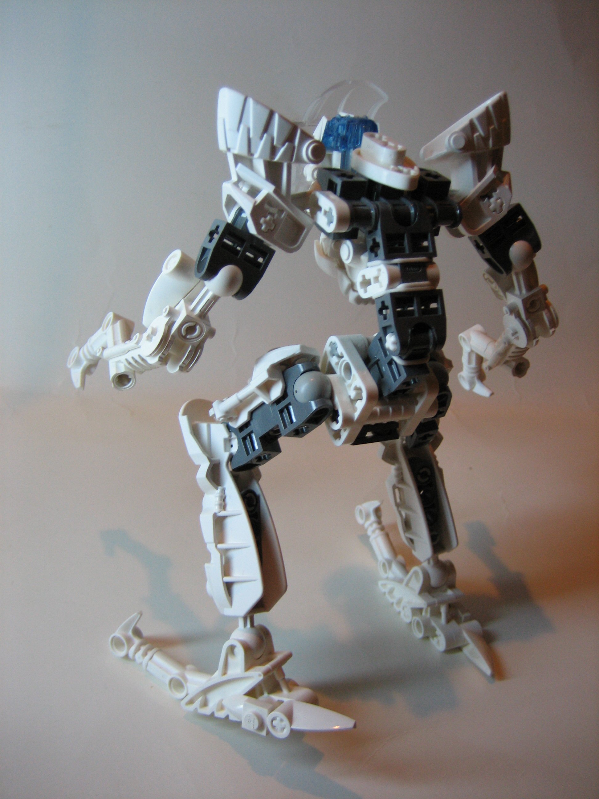 skelogali009.jpg