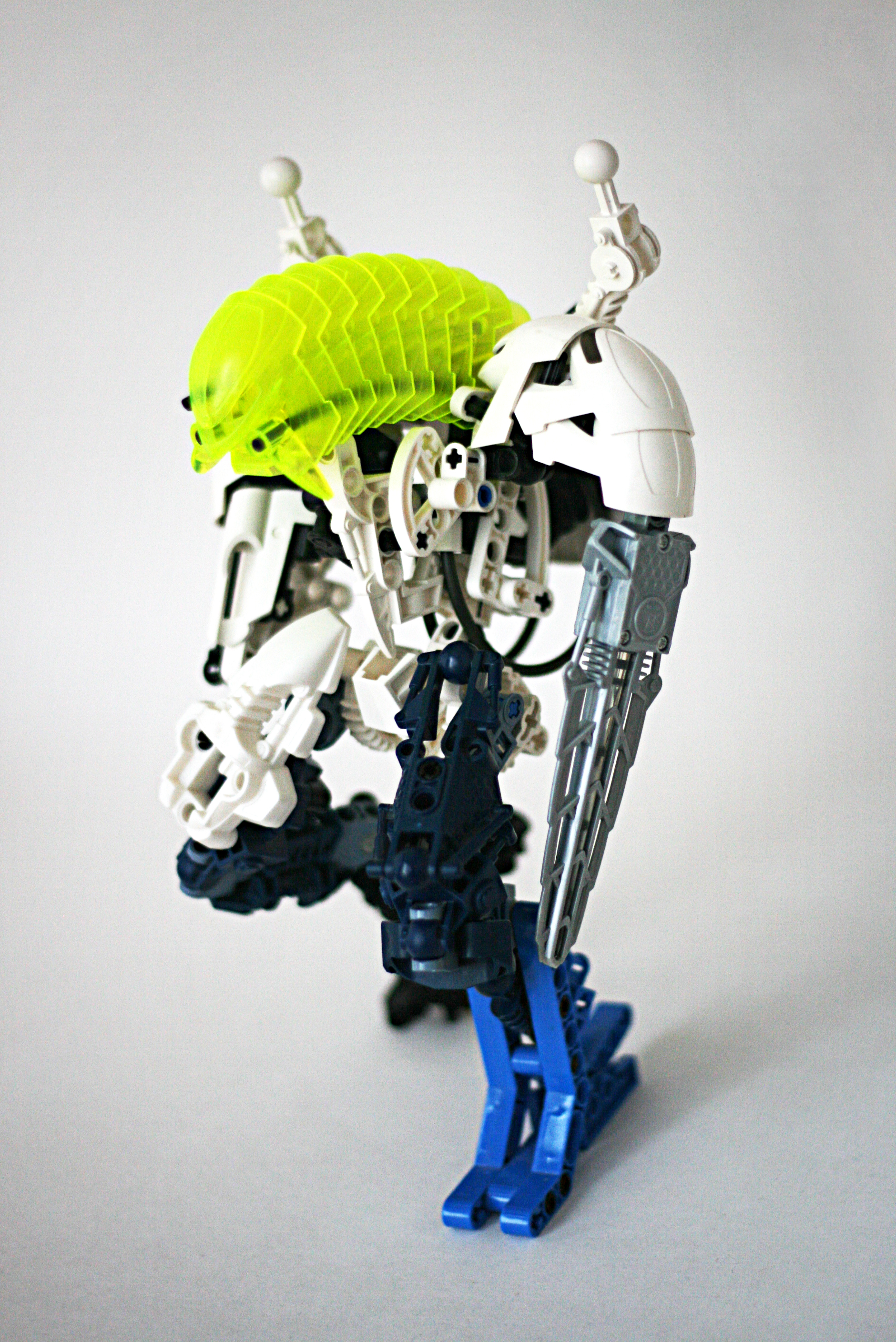 a1.jpg