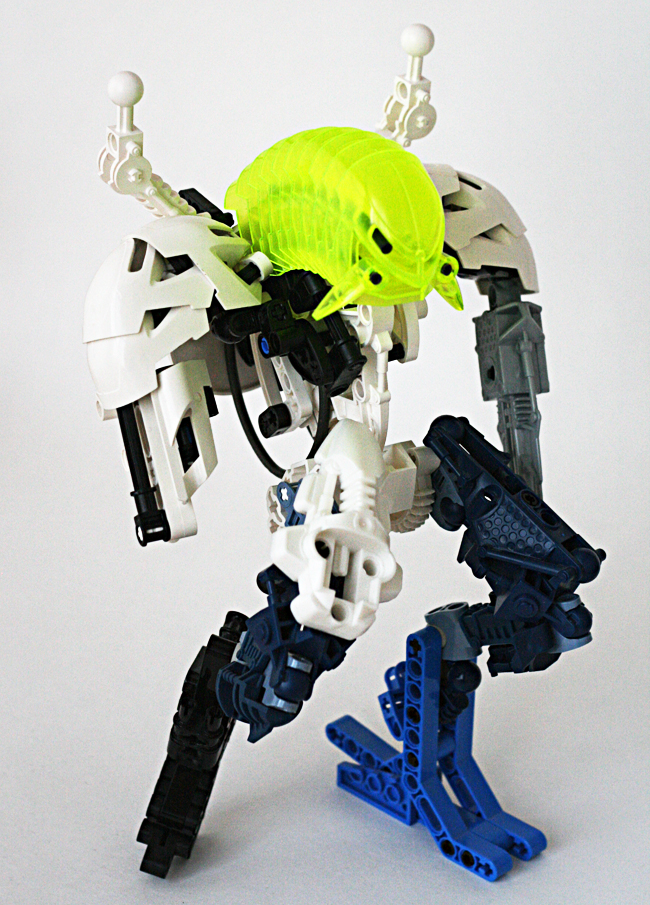 a2.jpg