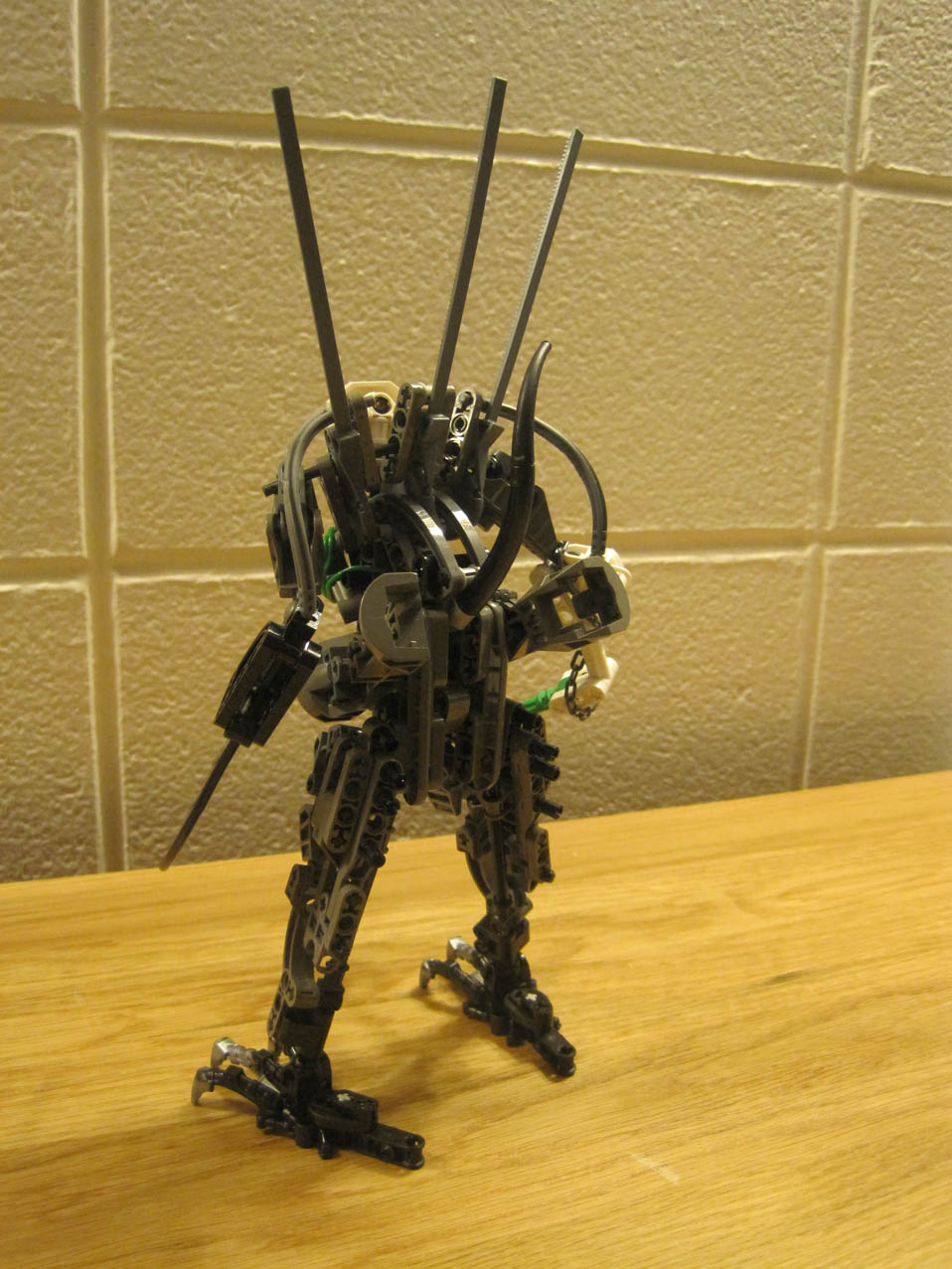 img_1066r.jpg