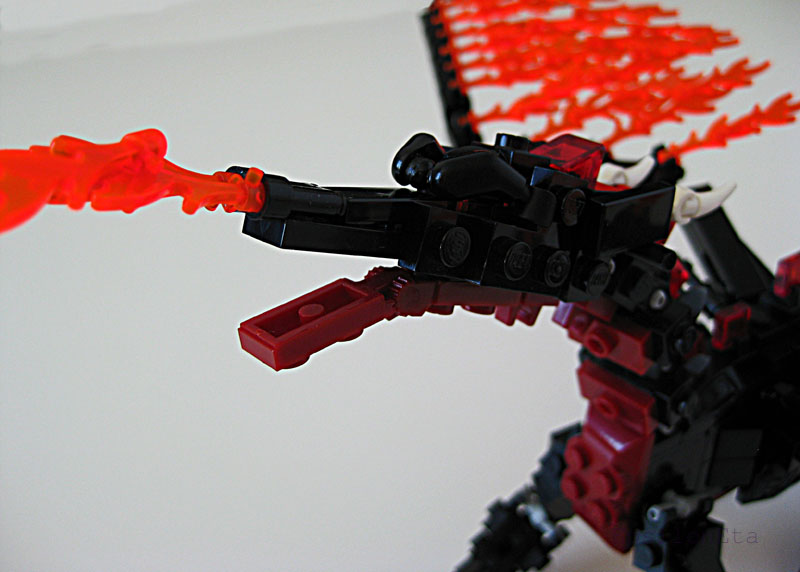 blackdragons13.jpg