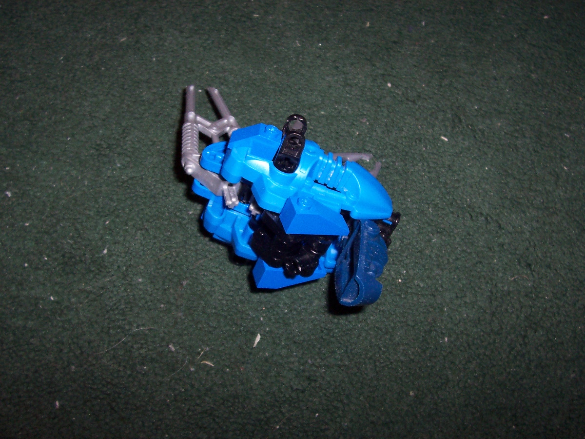 000_0919.jpg