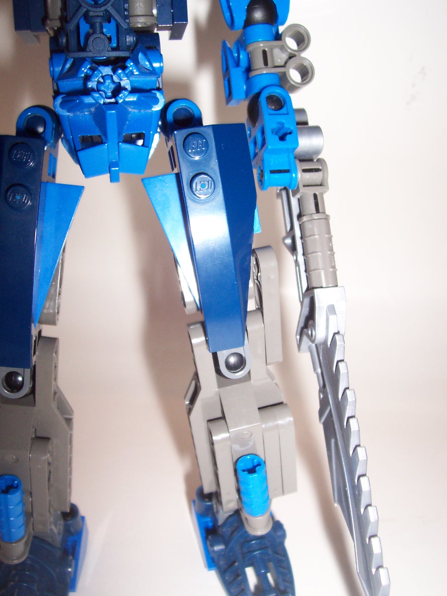 legs.jpg
