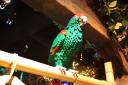 img_0060.jpg