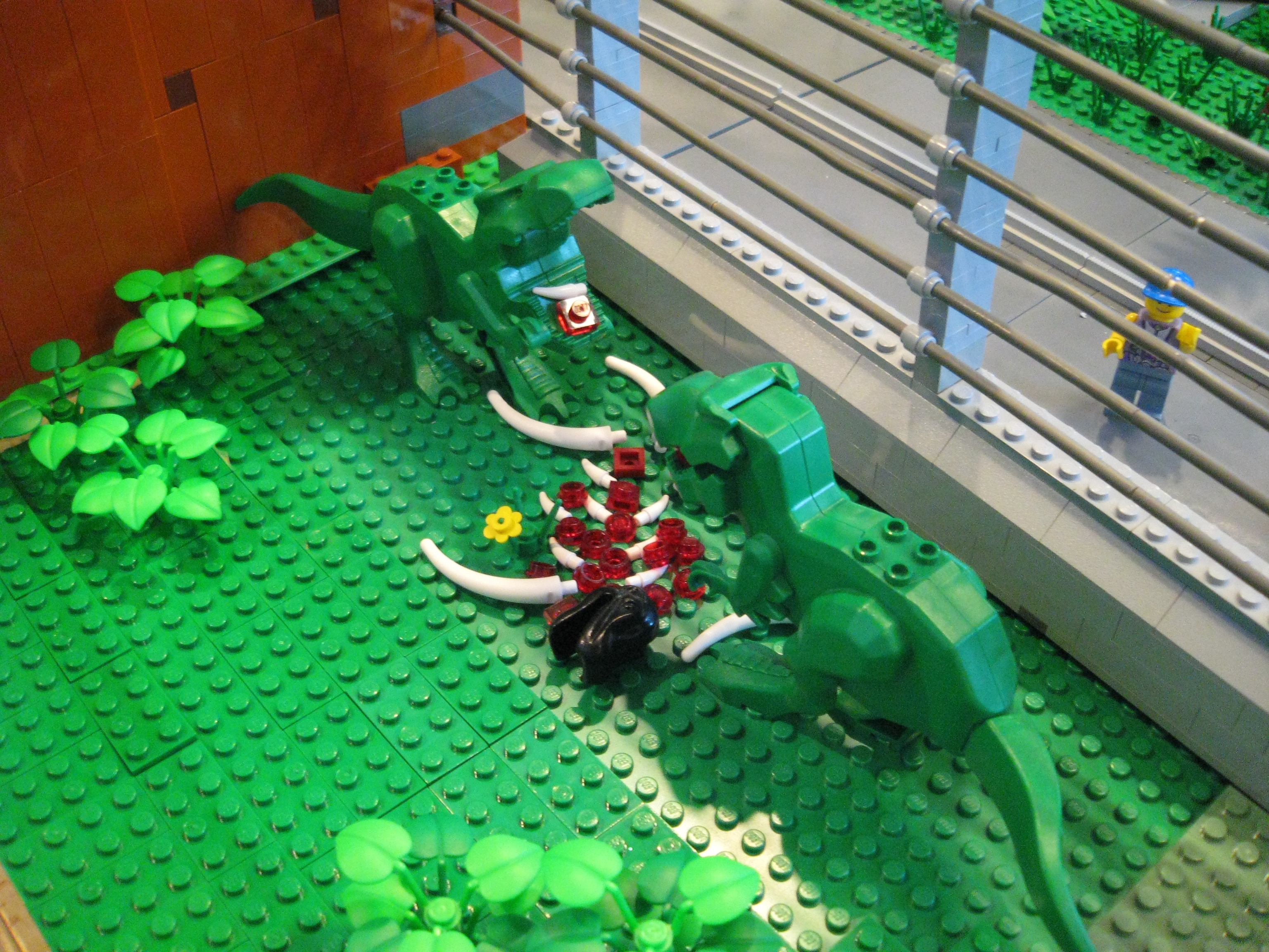 img_0129.jpg