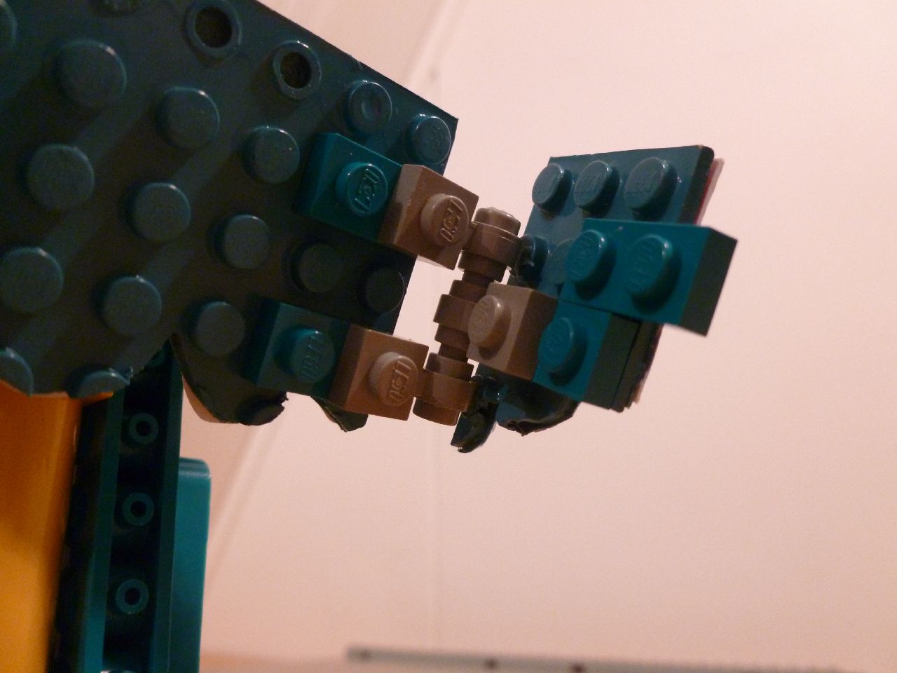 p1010687.jpg