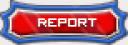 report.gif