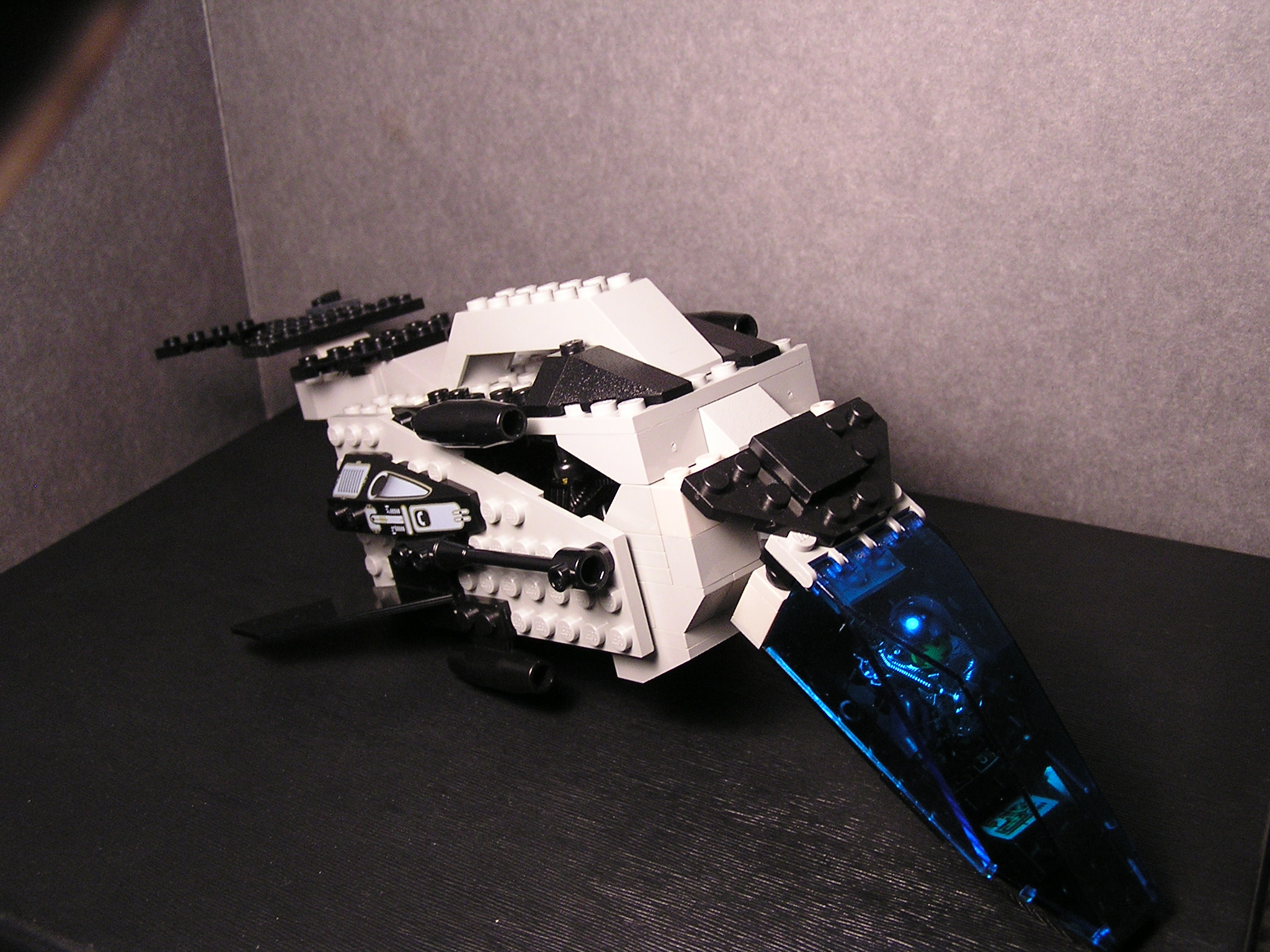 ga32_dolphin_001.jpg